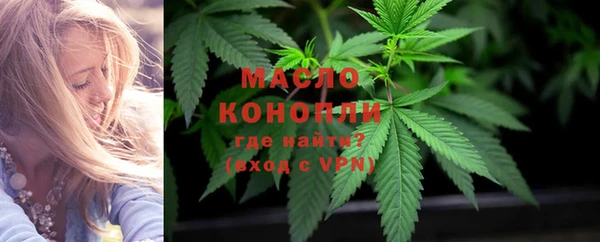 МДПВ Дмитров