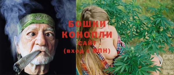 МДПВ Дмитров