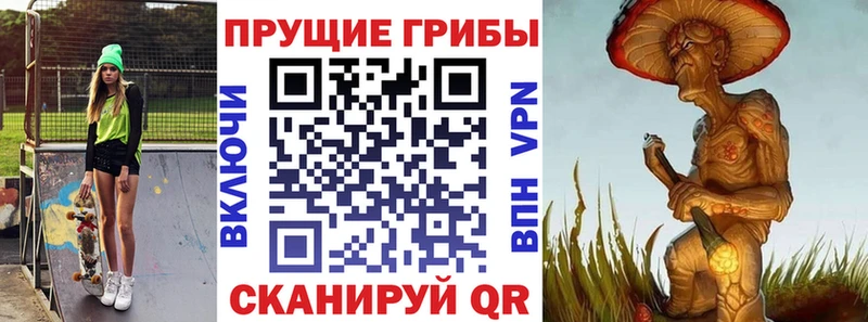 Псилоцибиновые грибы Psilocybe  Купить закладки  Нурлат 
